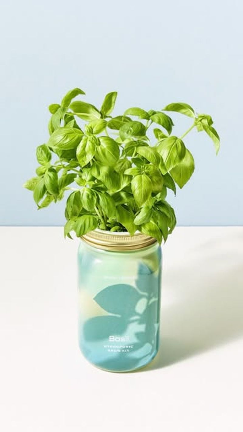 Mason Jar Method