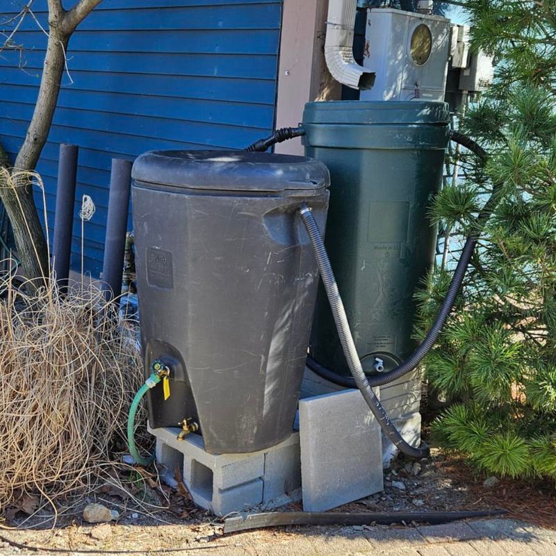 Harvest Rainwater