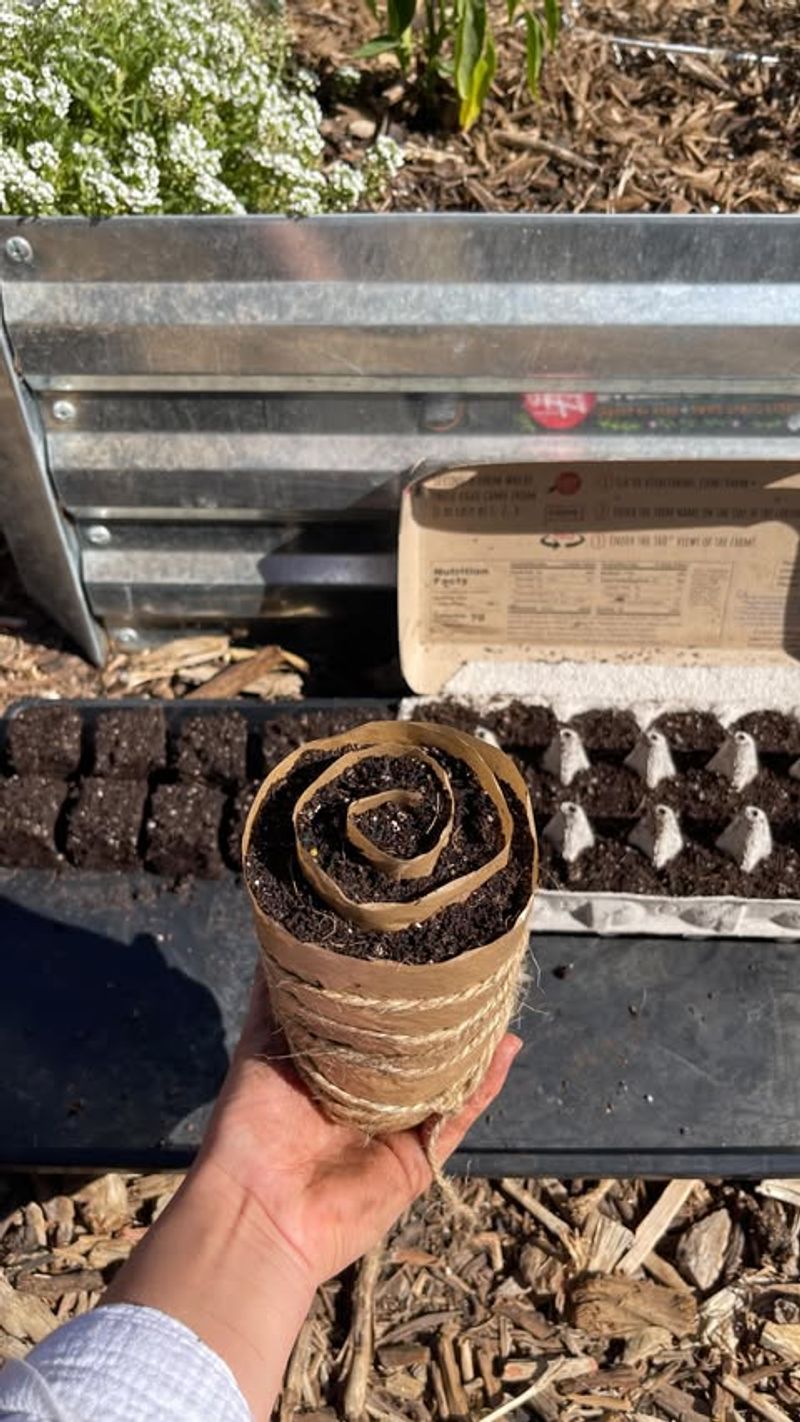 Create DIY Seed Starters