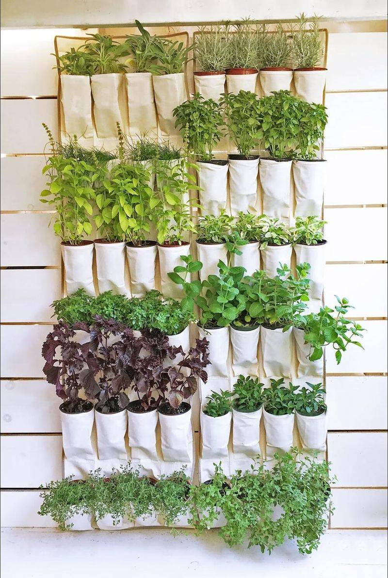 Pocket Fabric Planters for Apartment Dwellers