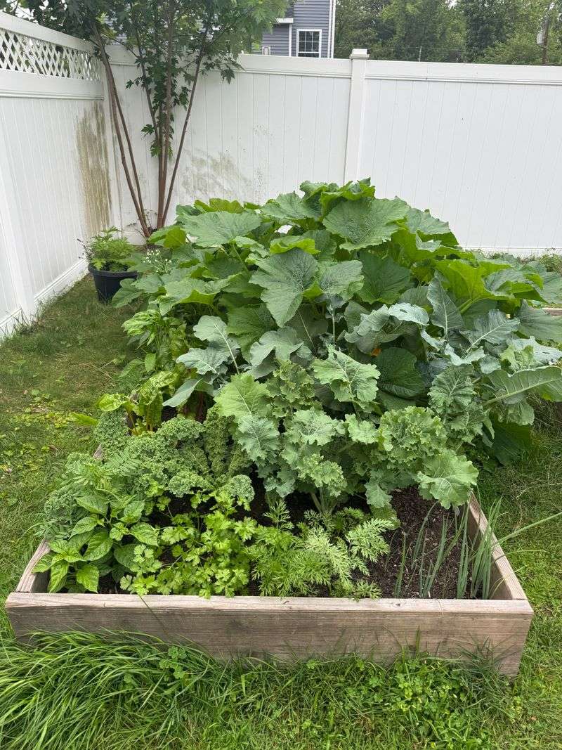 Moon Phase Gardening