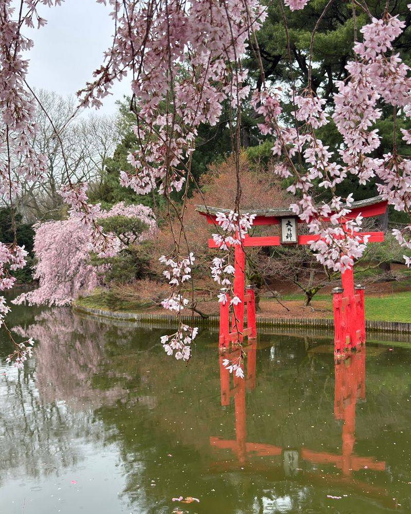 Japanese Hill-And-Pond Garden View
