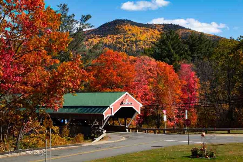 Jackson's Covered Bridge Splendor