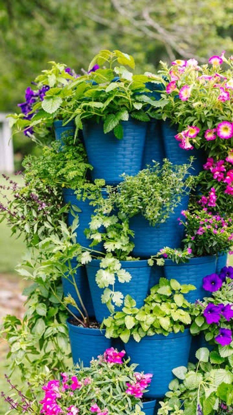 Tiered Planter Staircases