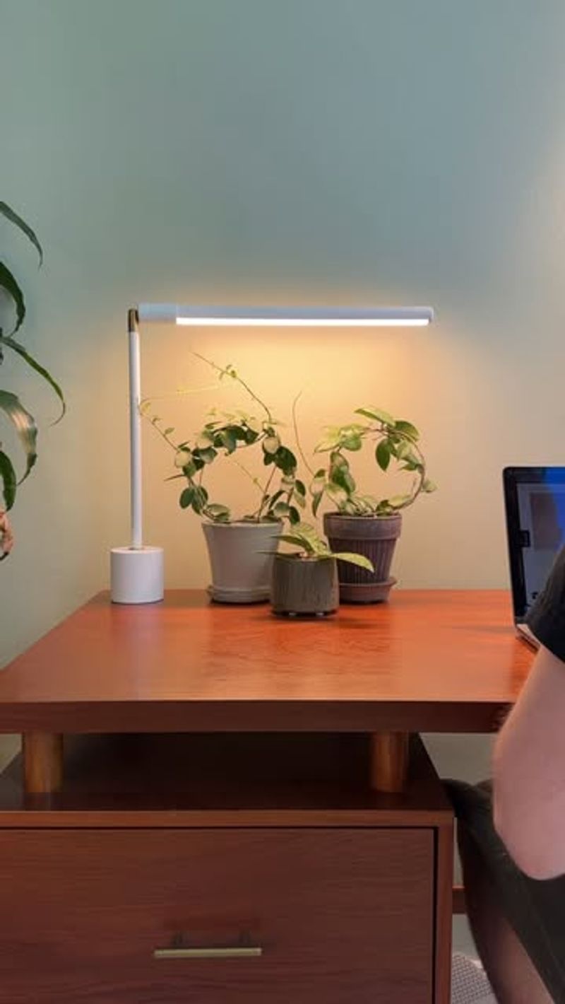 Tabletop Grow Light With Timer