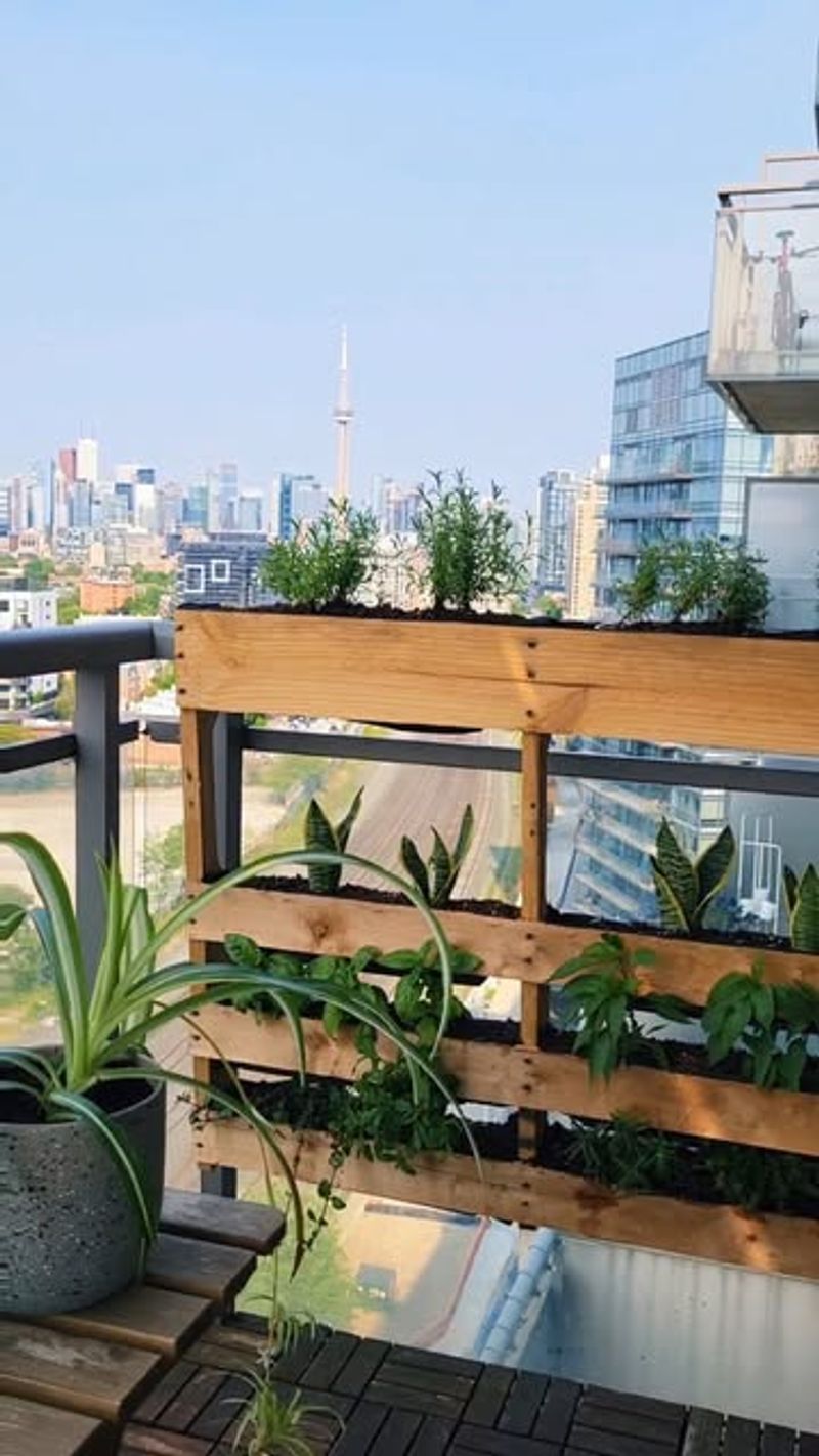 Repurposed Pallet Garden With Shade Cloth