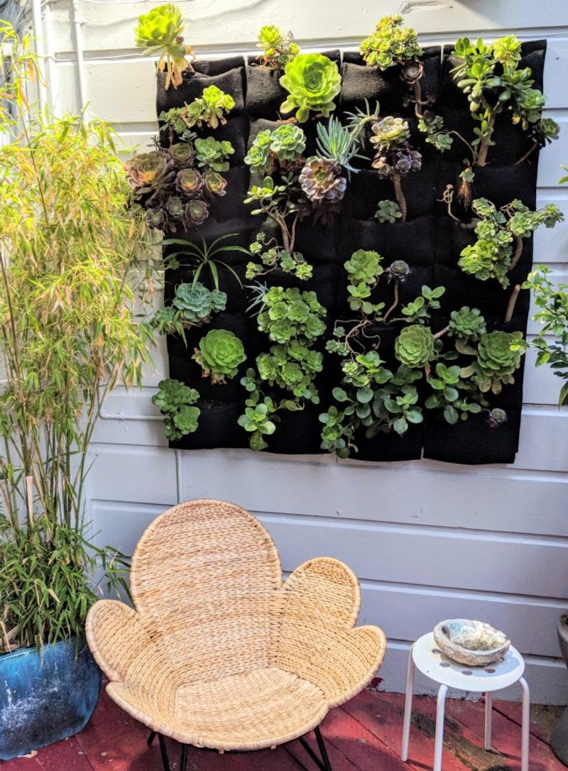 Mesh Pocket Wall System