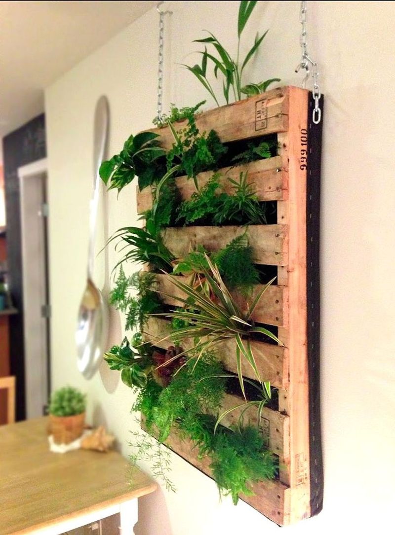Living Picture Frames