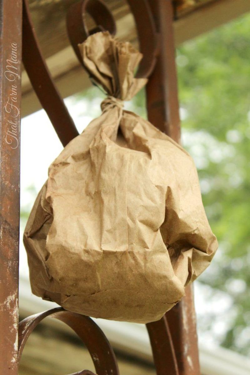 Paper Bag Decoy Nest