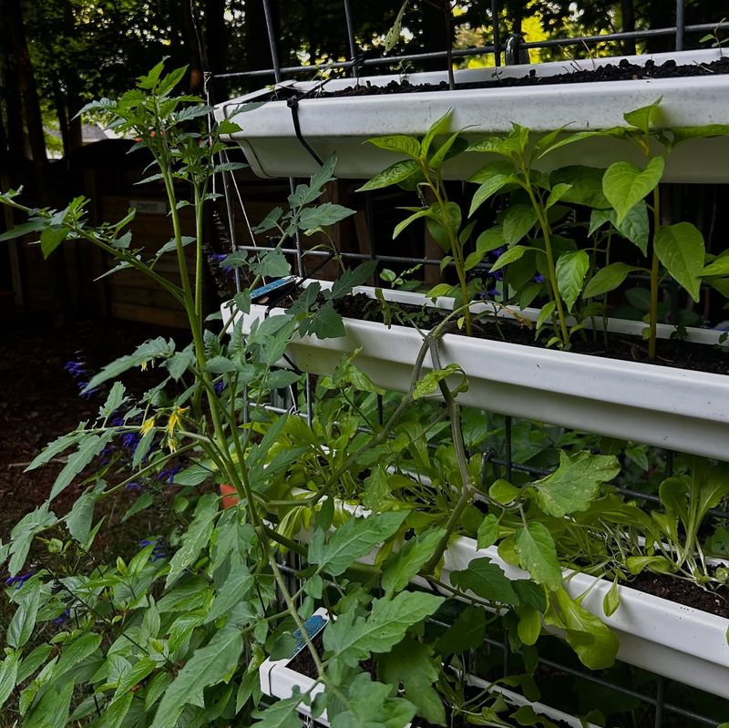 Gutter Garden Solutions