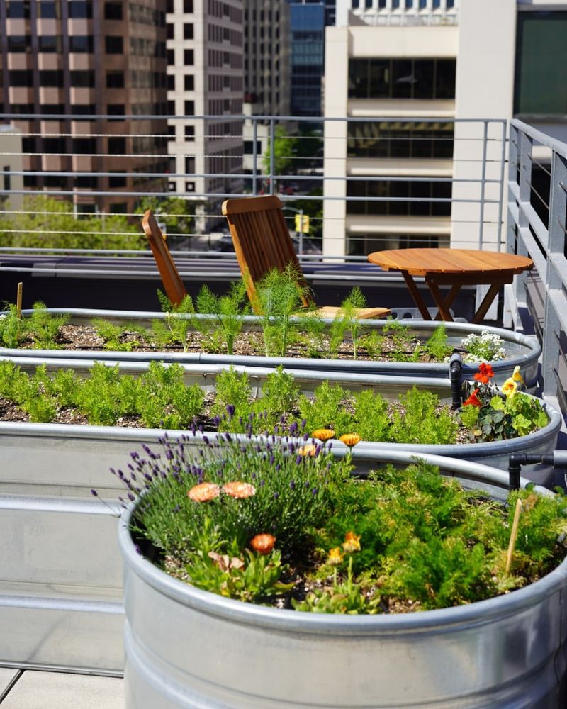 Rooftop Container Collections