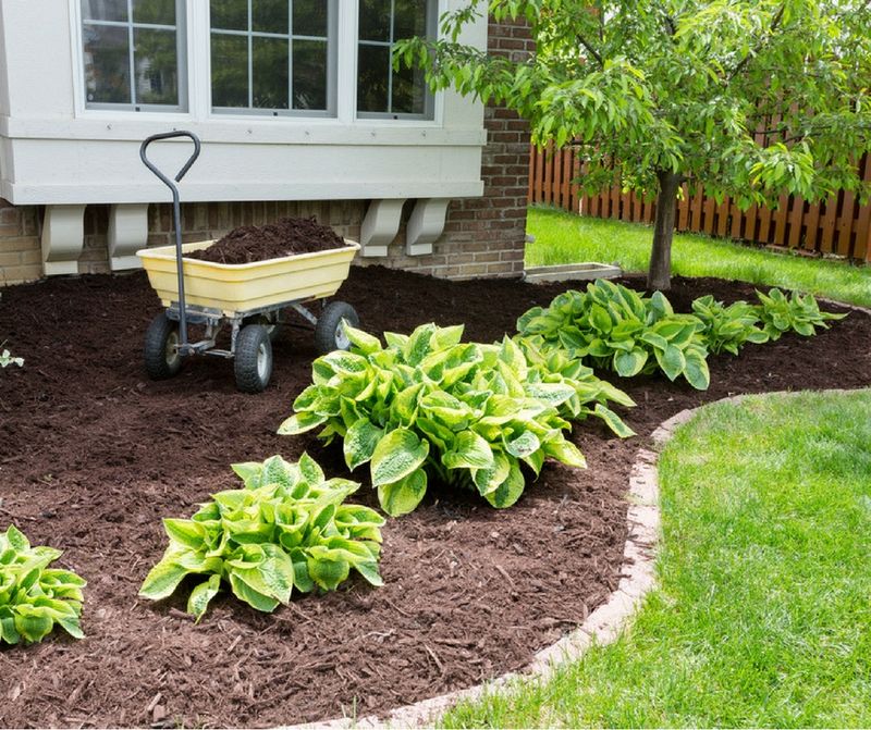 Strategic Mulching Benefits