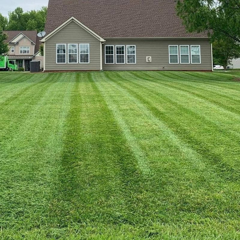 Lawns
