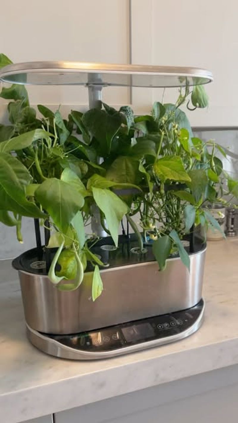 Use LED Grow Lights For North-Facing Apartments