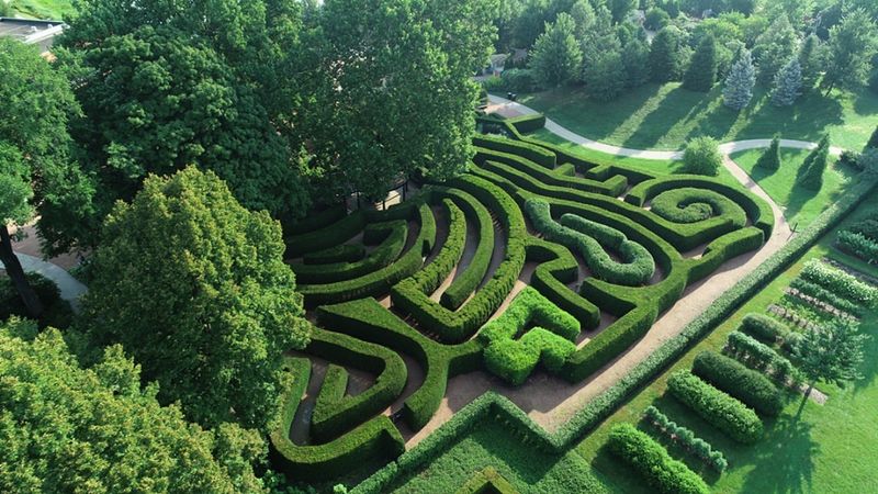 Maze Garden