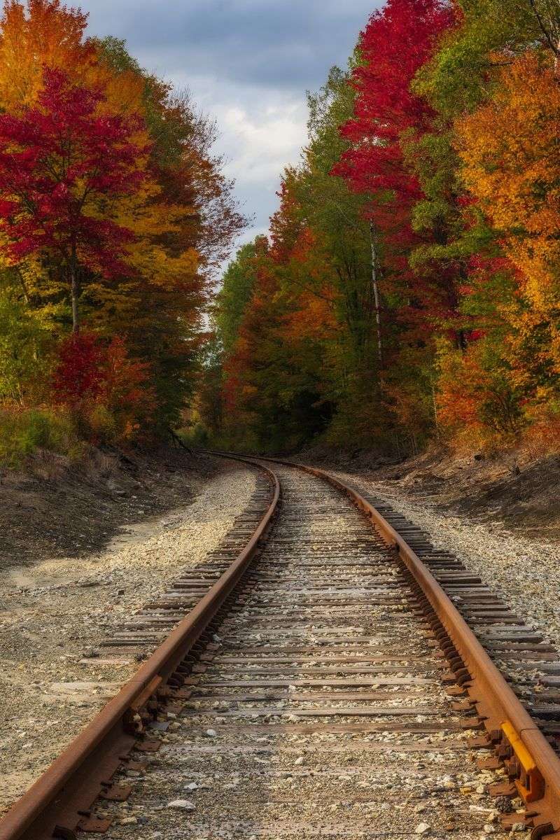 Walpole's Orchard-Lined Maple Roads