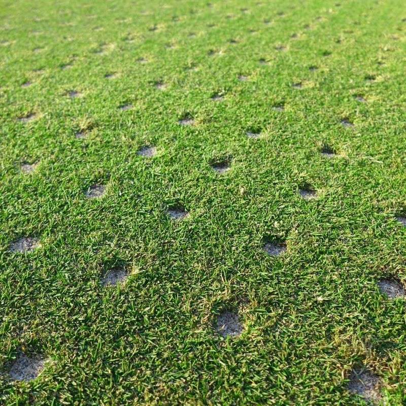 Prepare Lawn For Winter
