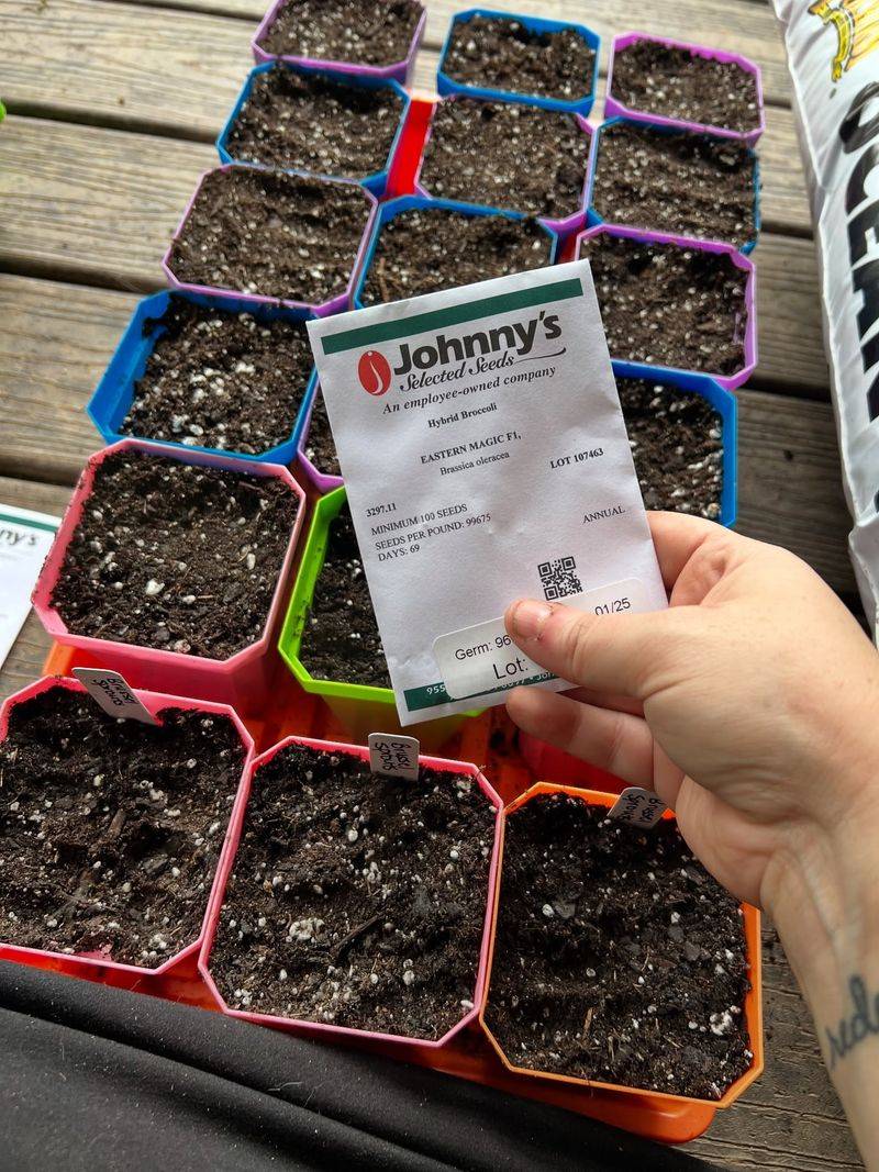 Start Fall Vegetables Indoors
