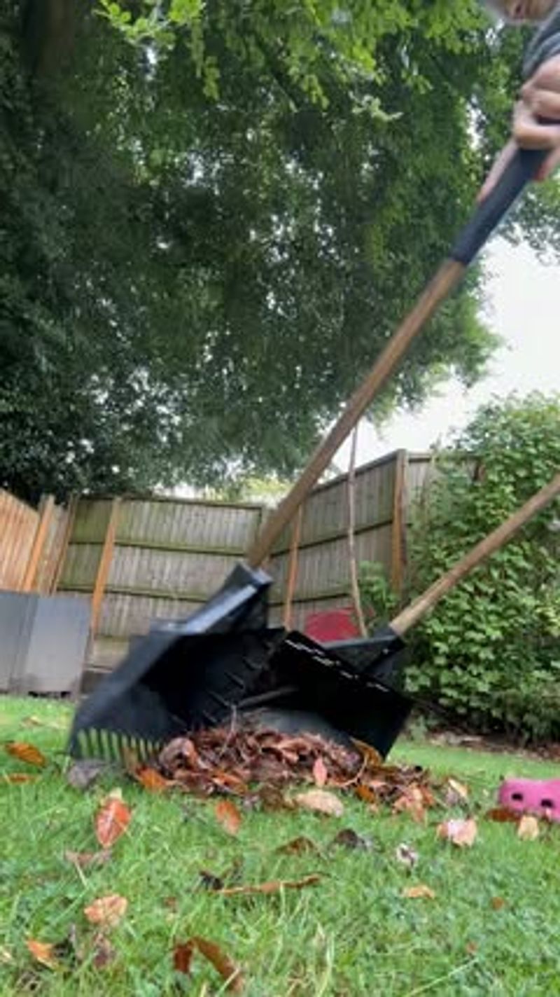 Rake Fallen Leaves