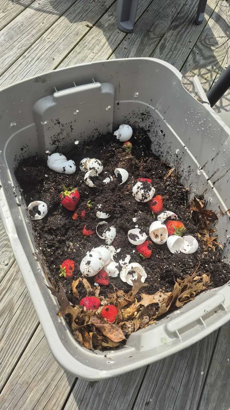 Prepare Compost