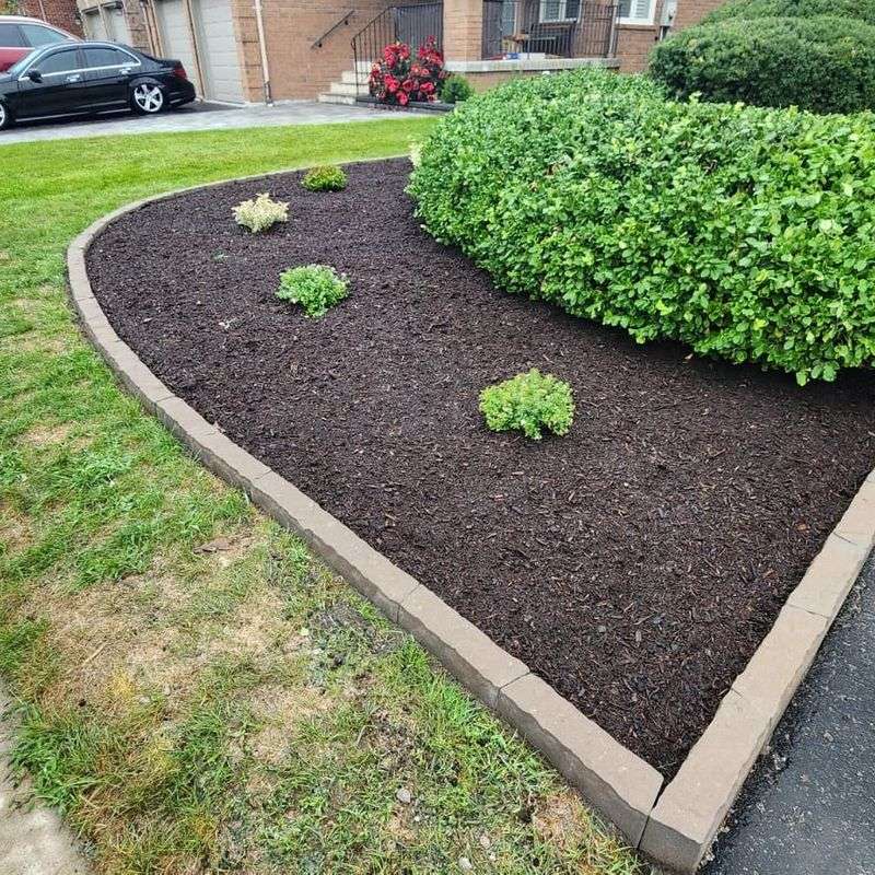 Mulch To Retain Moisture