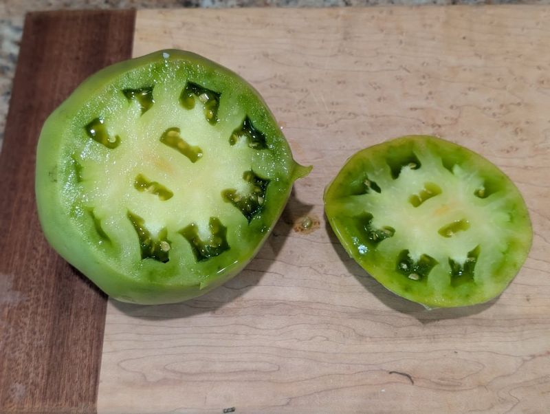 Forgetting To Save Seeds