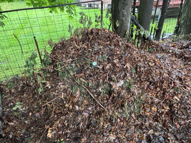 Skipping Composting Opportunities