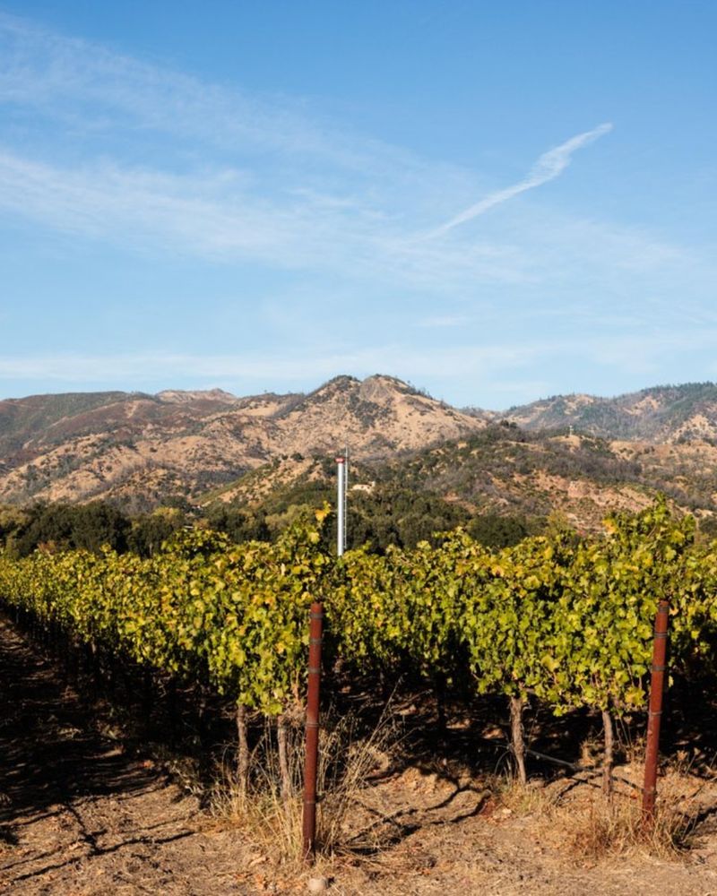 Calistoga: Mud Baths And Mountain Vineyards