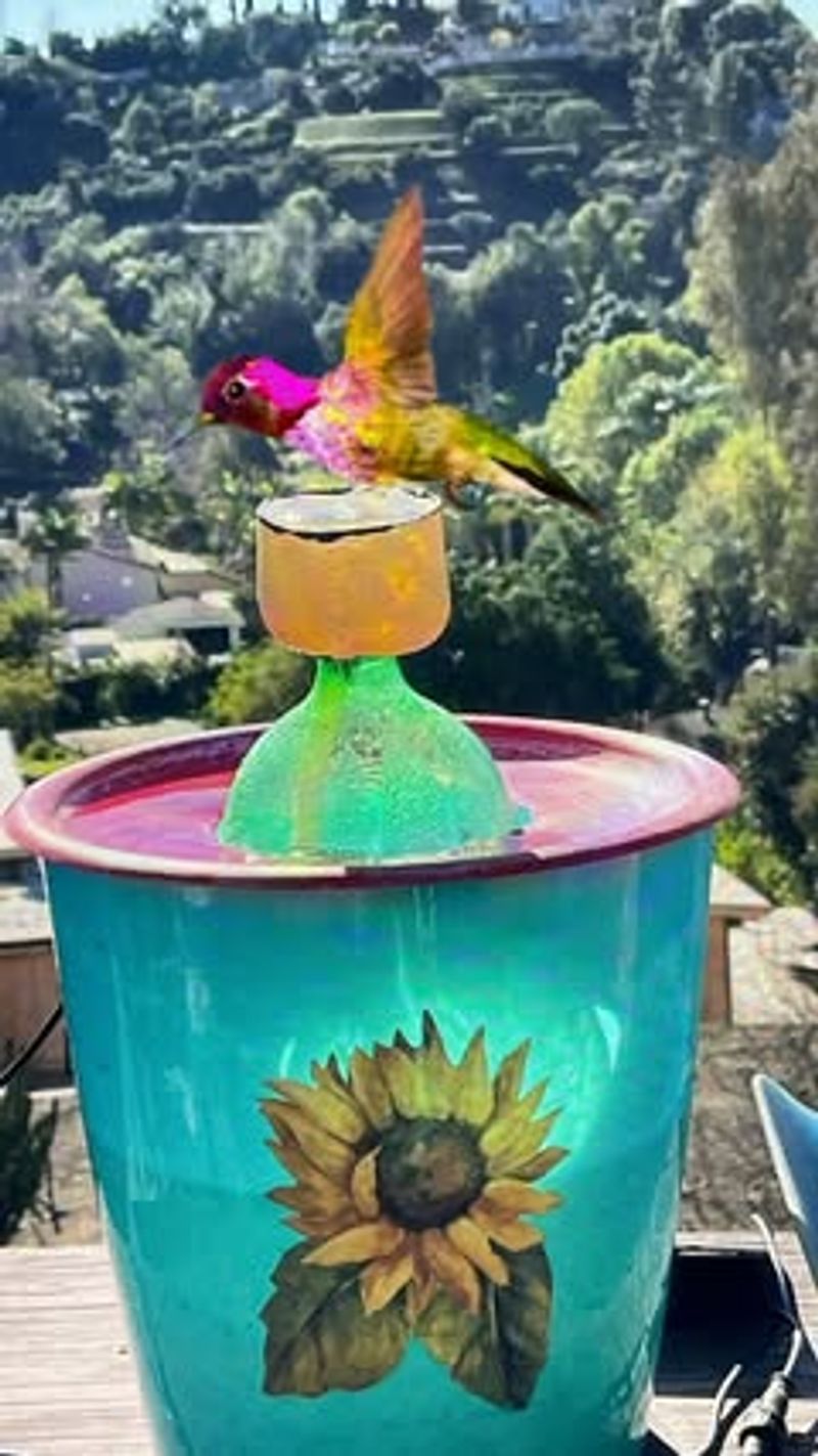 Solar Fountain Bird Bath