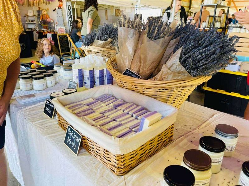 Aromatic Herbs Straight From Growers