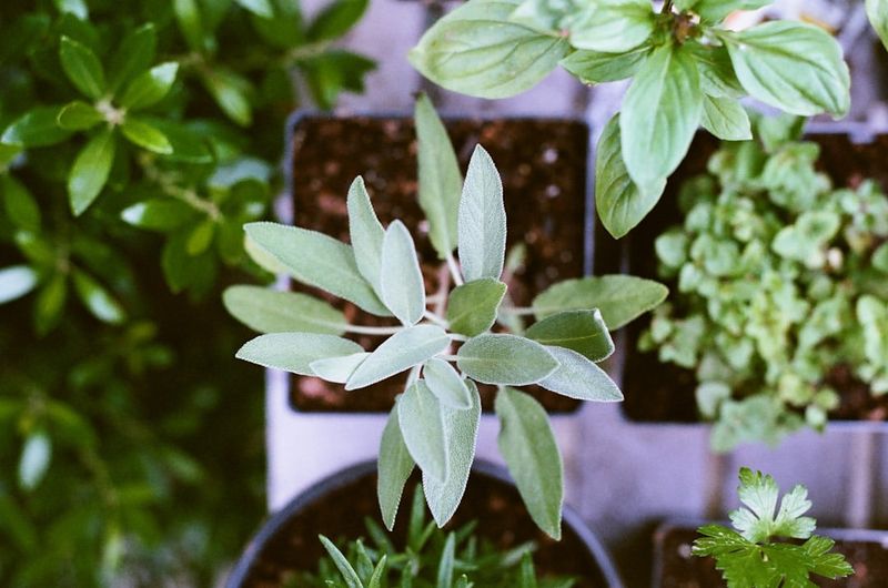 Garden Documentation