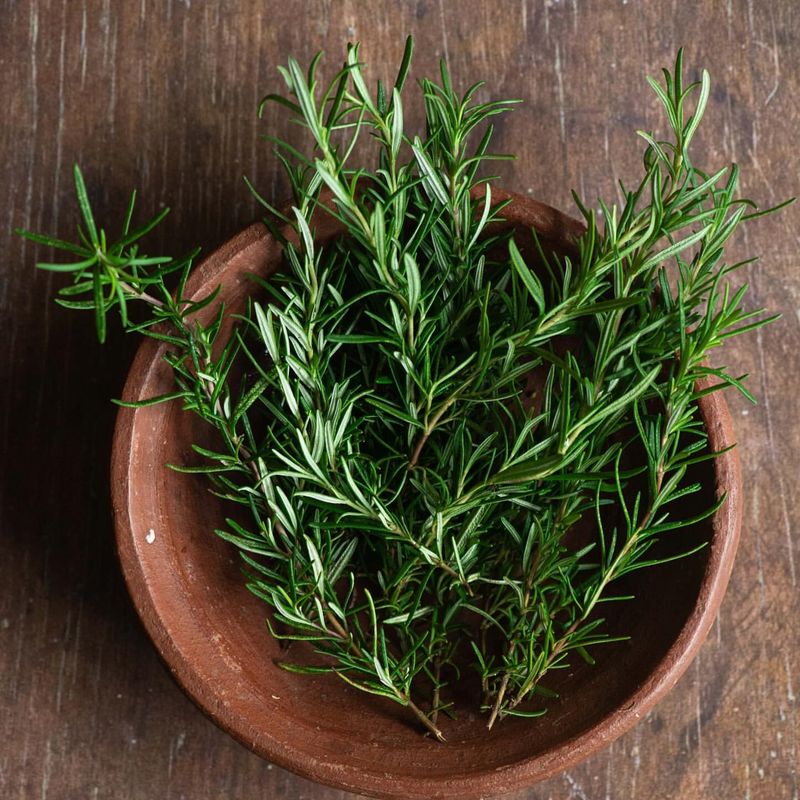 Rosemary