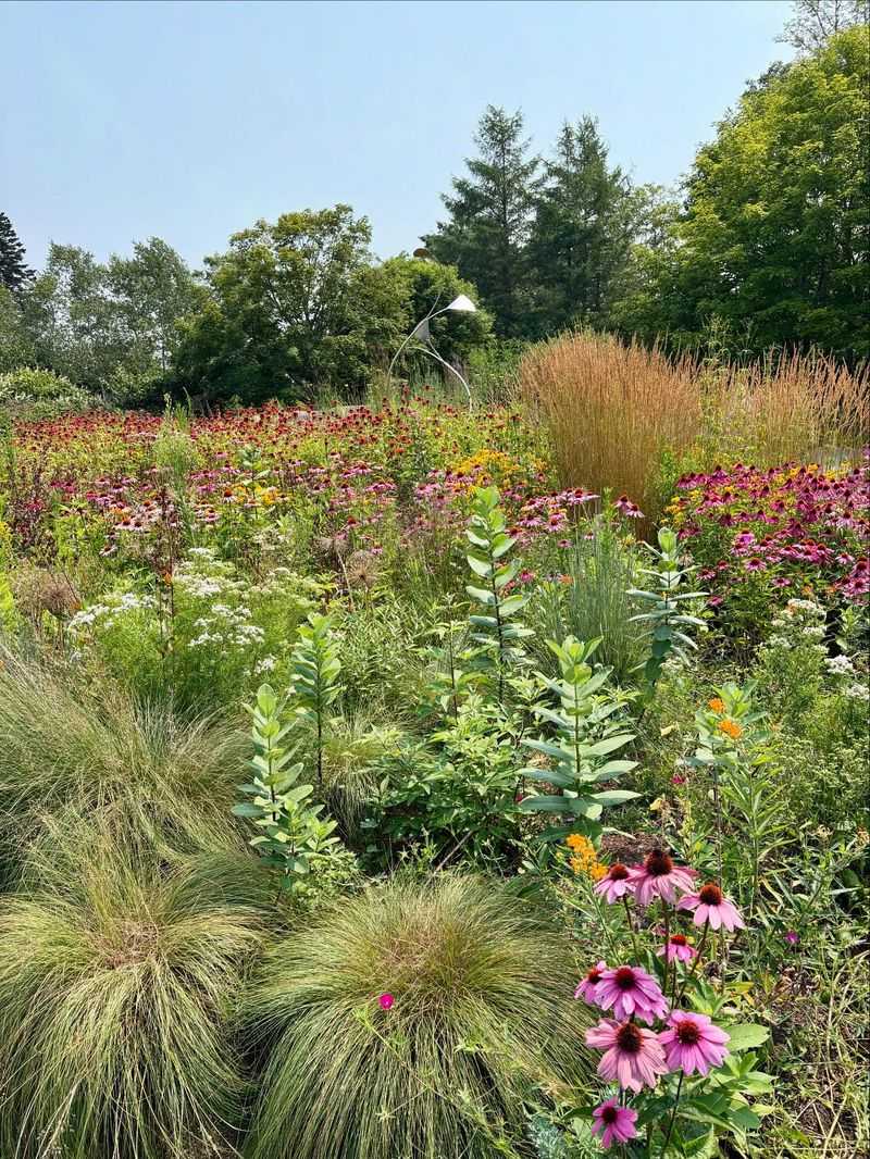 Grandmother's Cutting Gardens With Native Alternatives