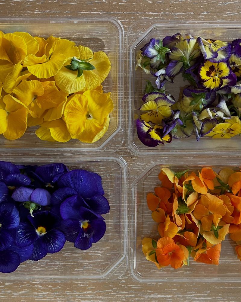 Edible Flower Arrangements