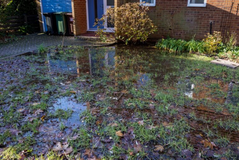 flooded front garden