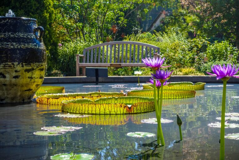 Denver Botanical Gardens in Colorado