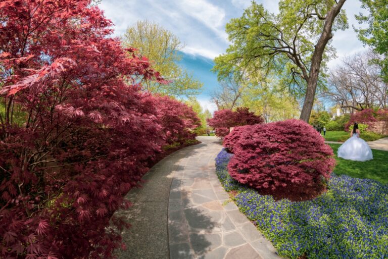 Spring in Dallas Arboretum, Texas