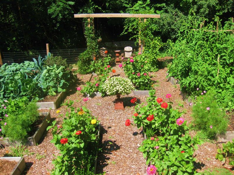 Community Seed Swaps: The Thrifty Gardener's Secret