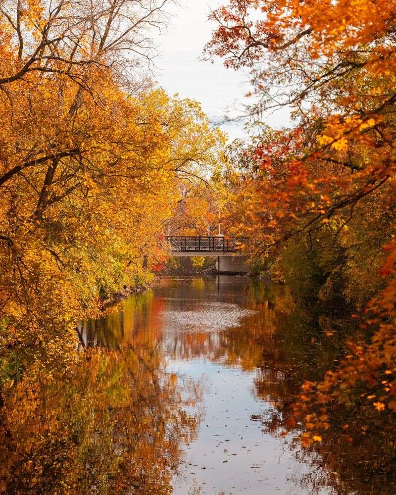Red Cedar Riverbank Gardens