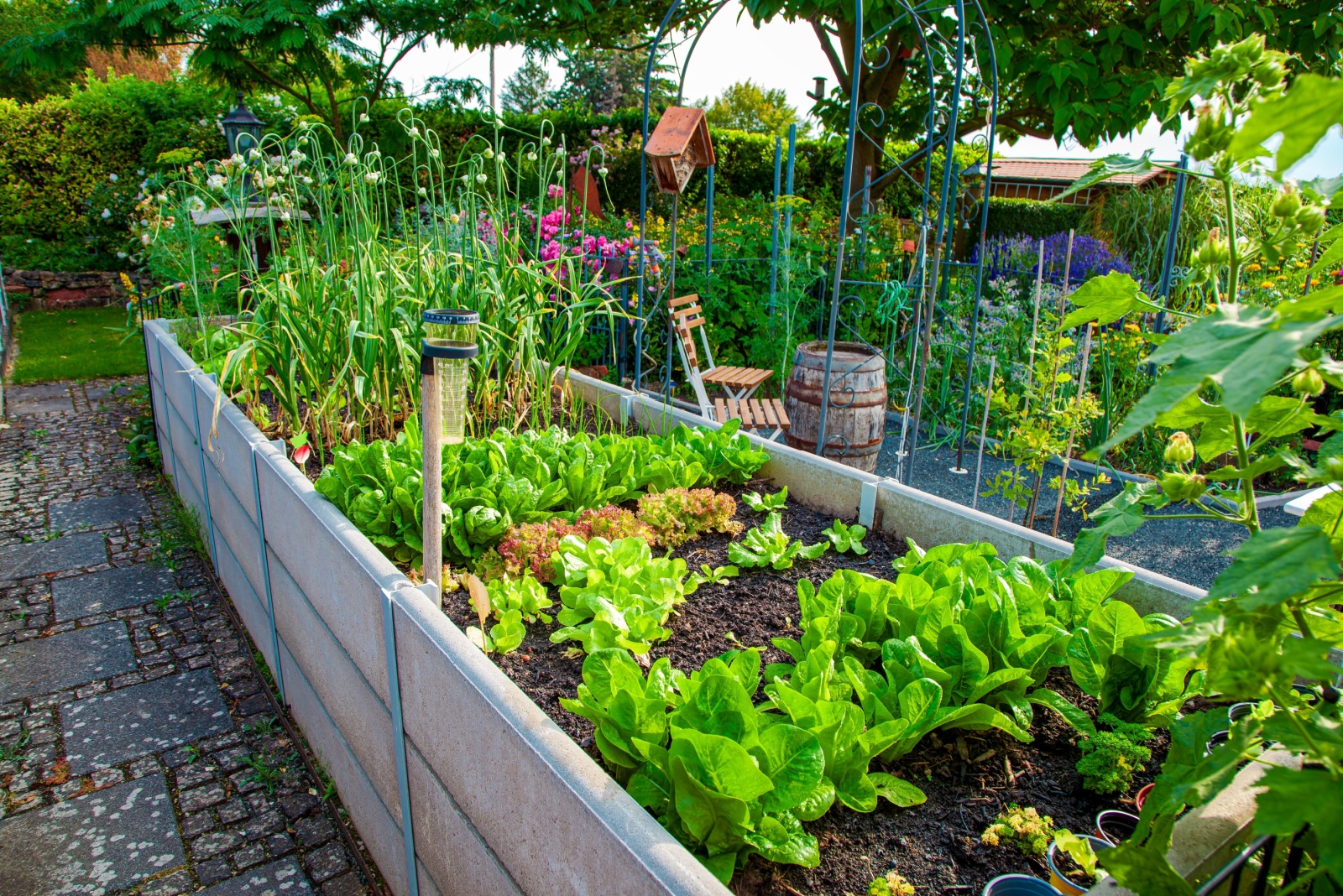 How Deep Should A Raised Garden Be In Missouri