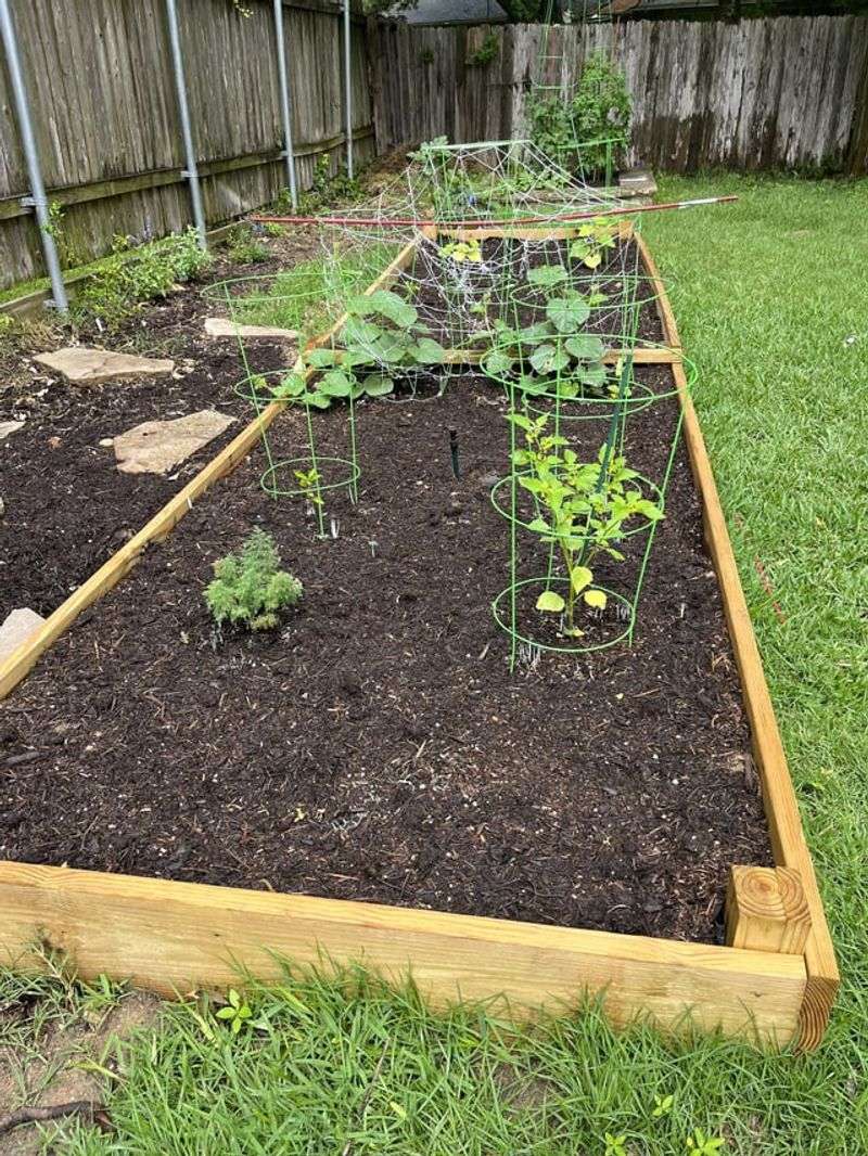 Standard Depth Guidelines For Missouri Gardens