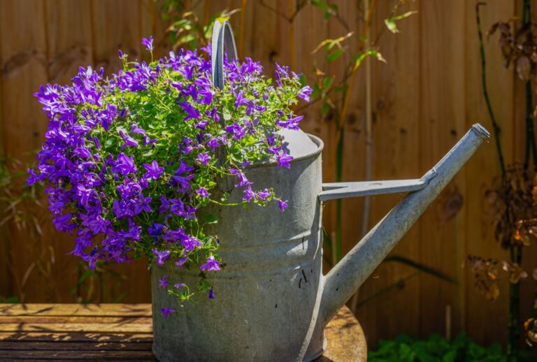 rustic can used as lavender planter (featured image)