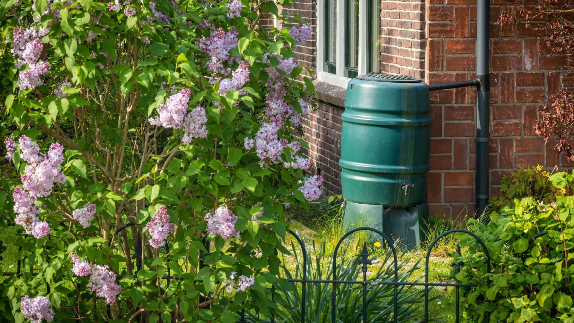 How Slow Gardening Became A Calming Practice For Many Portland Gardeners