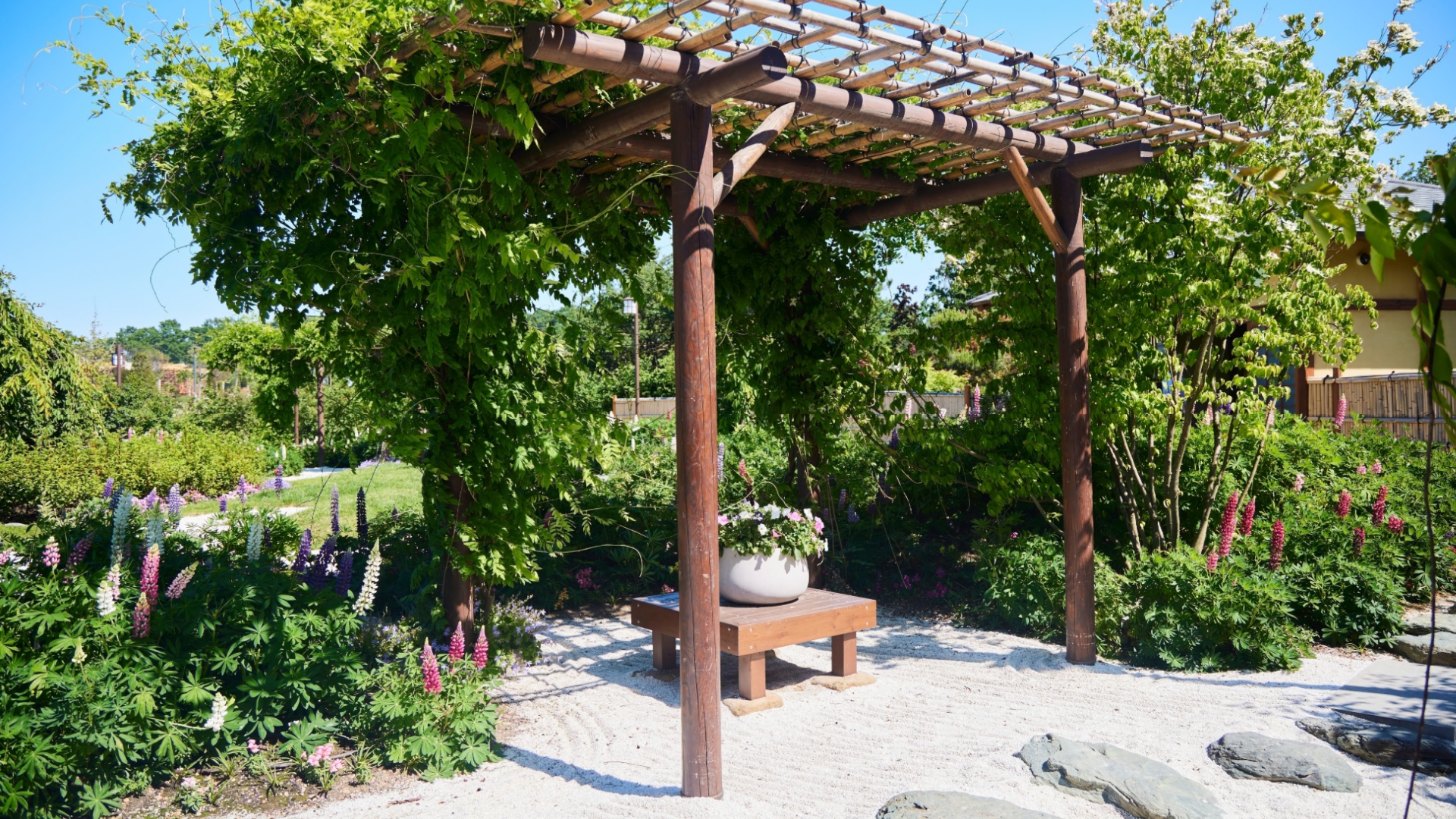 How Some Boston Gardeners Blend Nostalgia And Sustainability In Their Yards