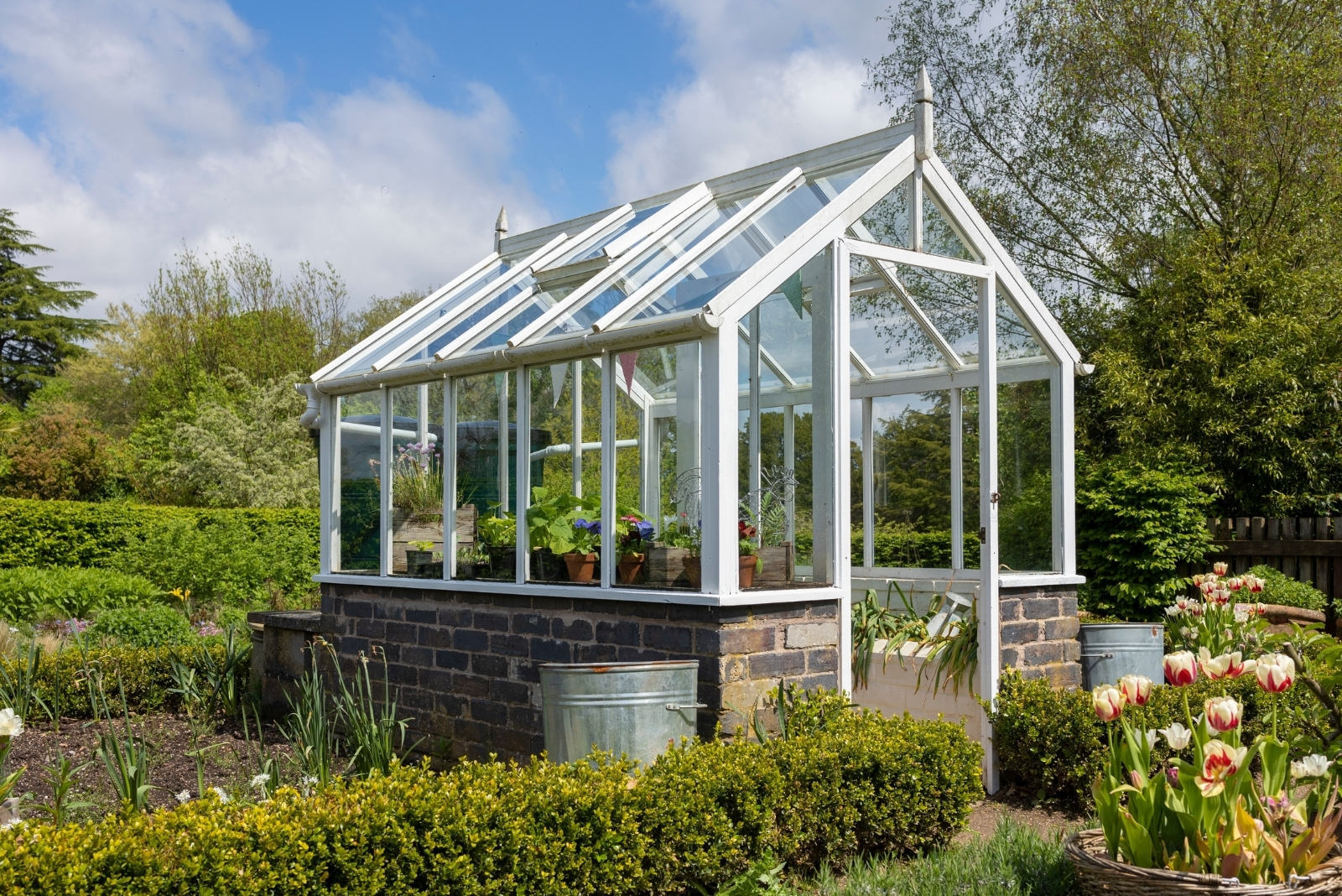 greenhouse (featured image)