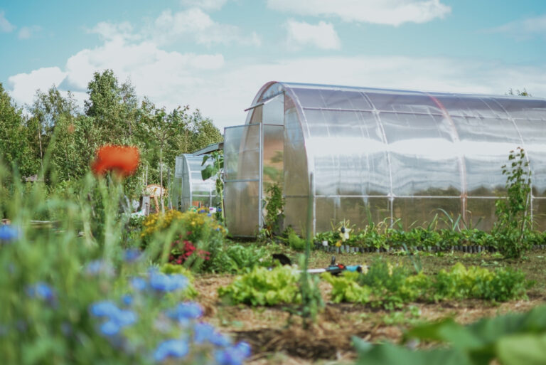 greenhouse (featured image)