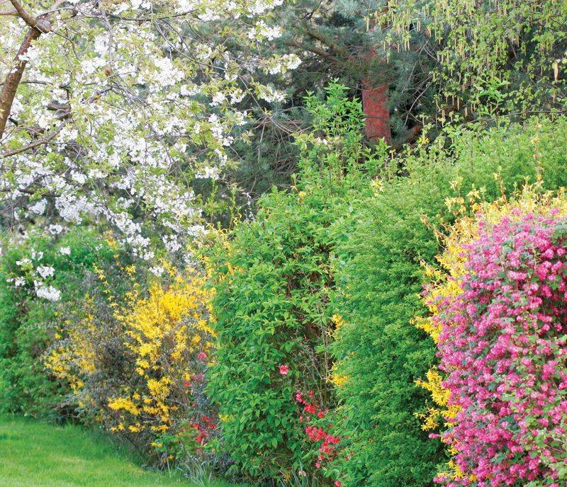 Choose the Right Location Along Your Fence