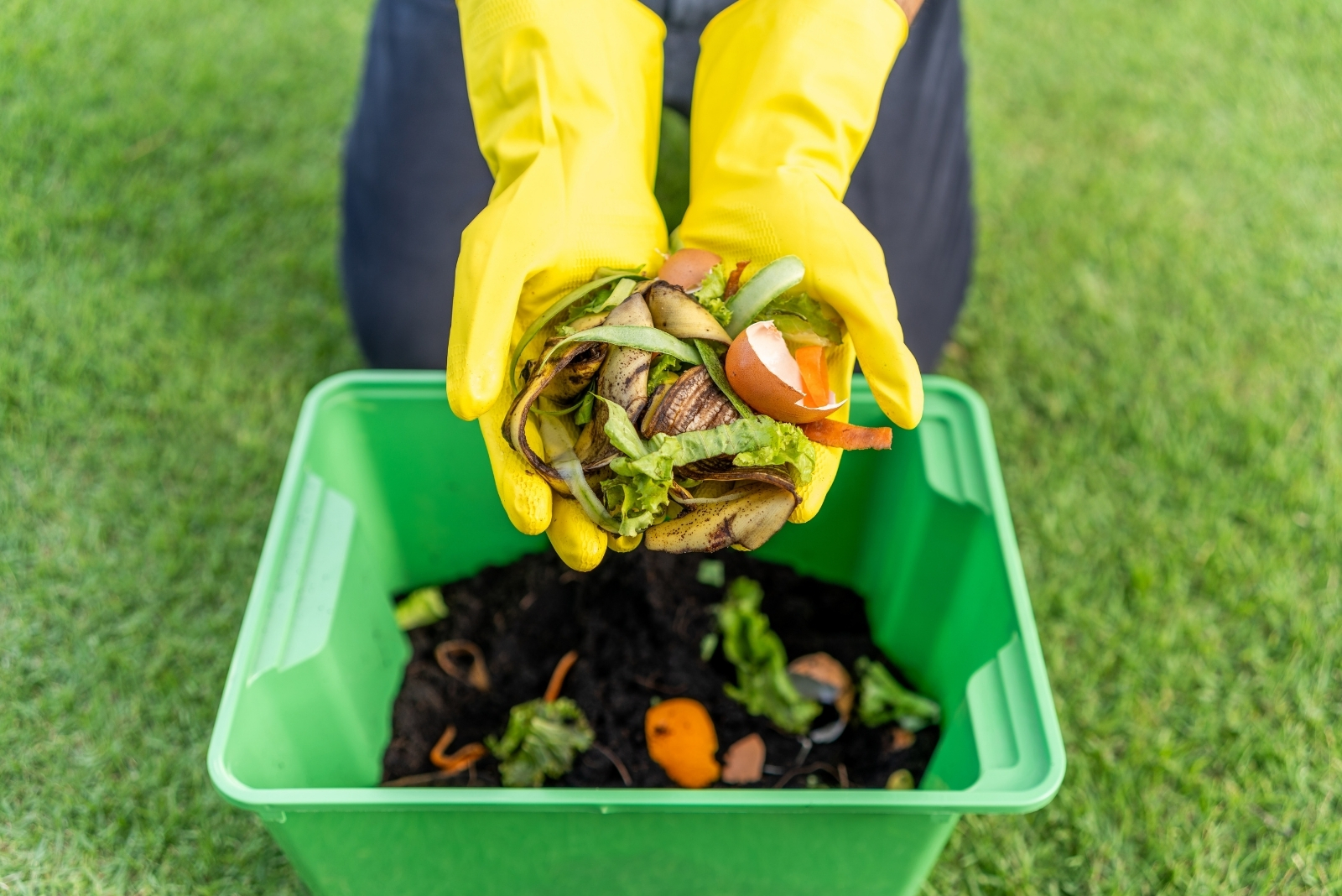 How To Garden In California Without Spending Too Much As Prices Rise