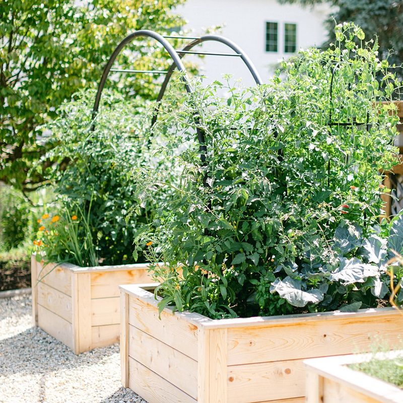 Create Raised Beds Along The Edge