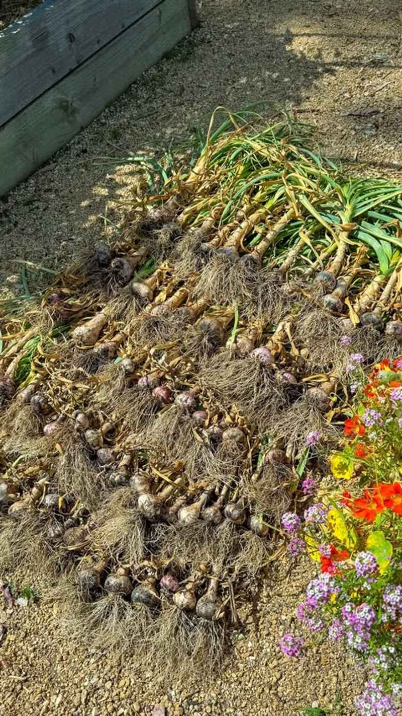 Choose the Right Varieties